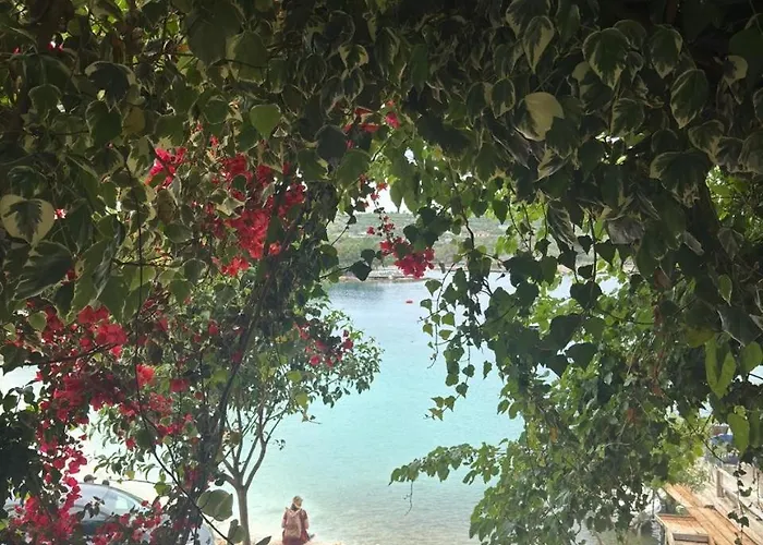 Mustafaraj Appartement