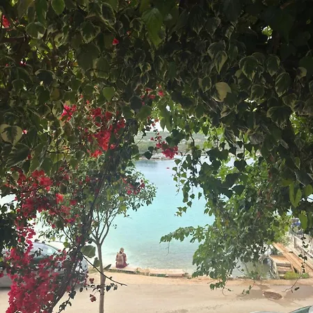 Mustafaraj Апартаменты